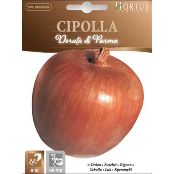ხახვის თესლი Cipolla dorata di parma