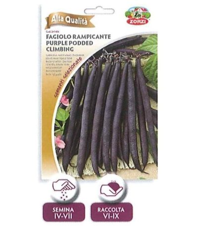 ლობიოს თესლი Fagiolo rampicante purple podded climbing