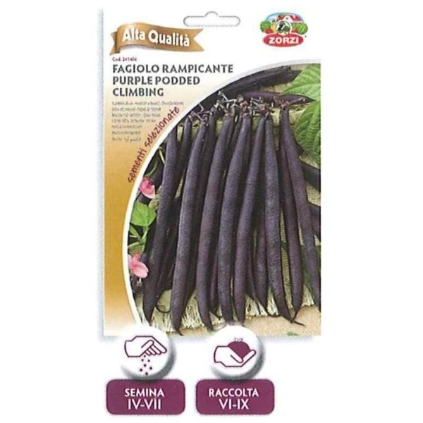 ლობიოს თესლი Fagiolo rampicante purple podded climbing