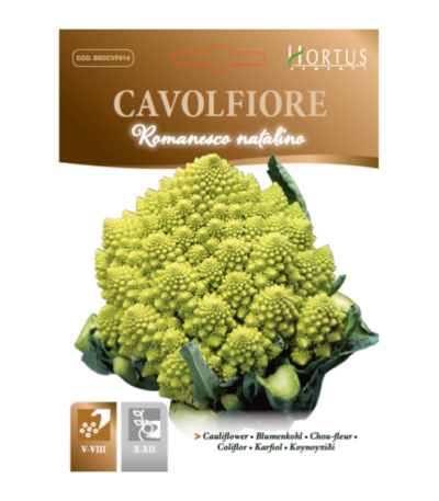 cavolfiore romanesco natalino