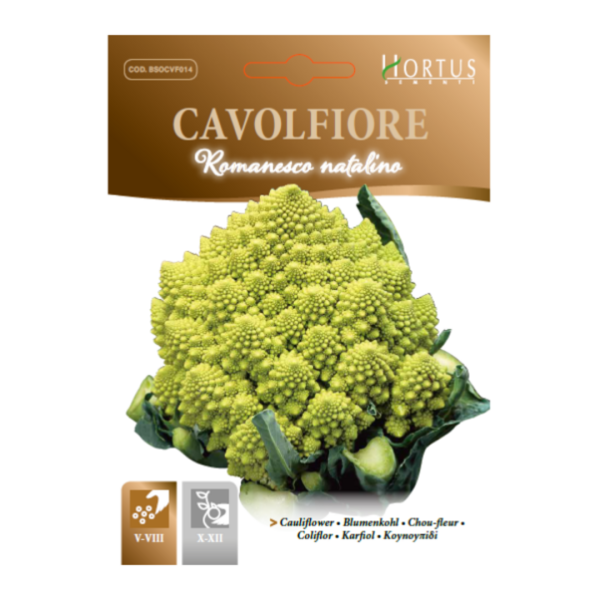 cavolfiore romanesco natalino