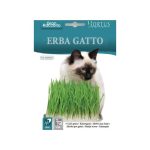 კატაპიტნის თესლი Erba gatto