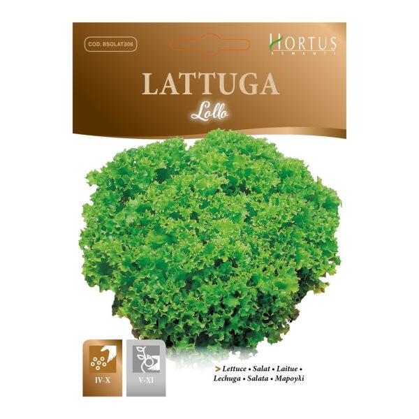 სალათის თესლი LATTUGA LOLLO