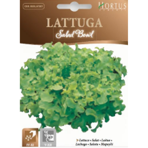 სალათის თესლი LATTUGA SALAD BOWL