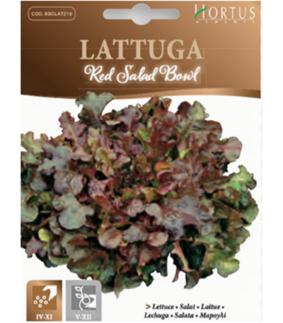 სალათის თესლი LATTUGA RED SALAD BOWL