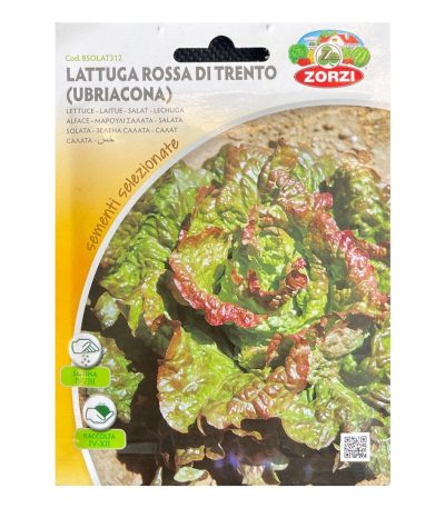სალათის თესლი LATTUGA ROSSA DI TRENTO (UBRIACONA)