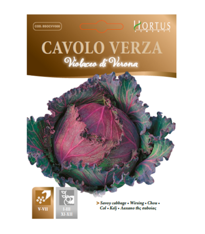 კომბოსტოს თესლი CAVOLO VERZA VIOLACEO DI VERONA