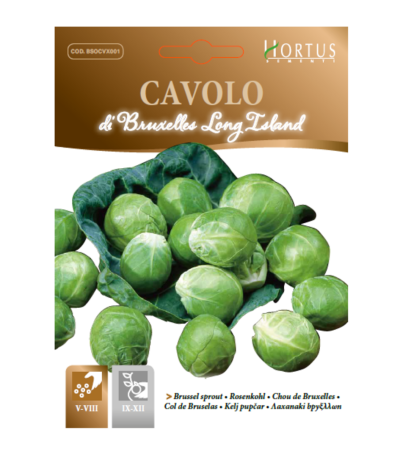 ბრიუსელის კომბოსტოს თესლი CAVOLO DI BRUXELLES LONG ISLAND