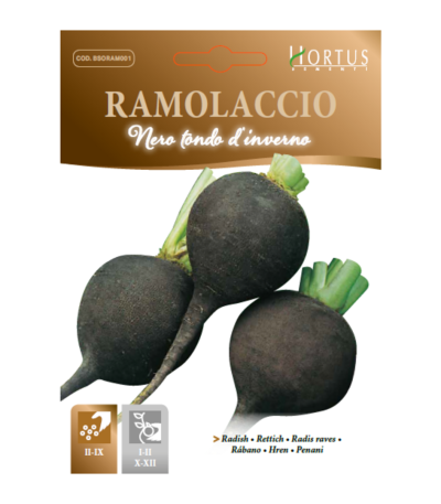 ბოლოკი თესლი RAMOLACCIO NERO TONDO DINVERNO