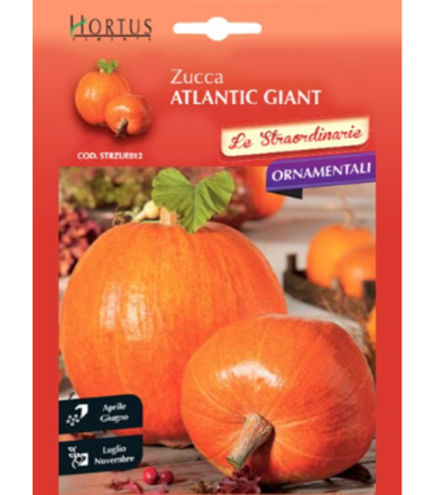 გოგრა თესლი ZUCCA ATLANTIC GIANT