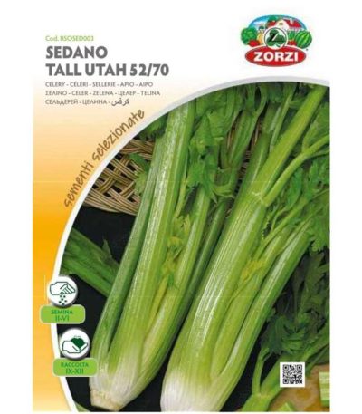 ნიახური თესლი SEDANO TALL UTAH 52/70
