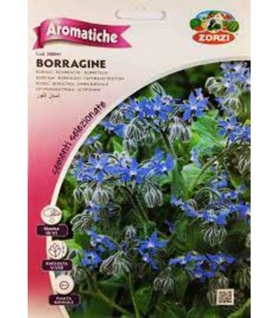 ბორაგო თესლი Borragine