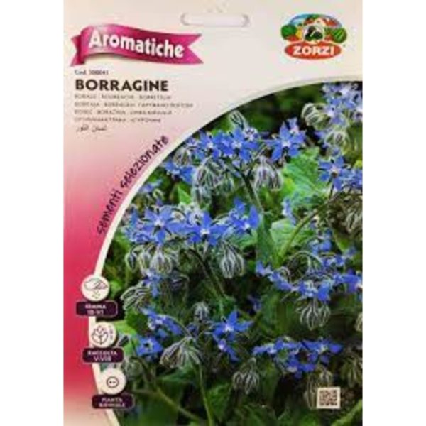 ბორაგო თესლი Borragine