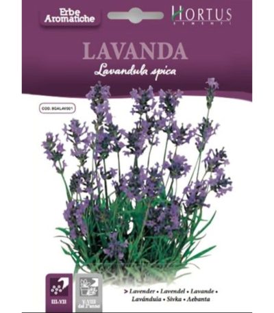 ლავანდა თესლი Lavanda