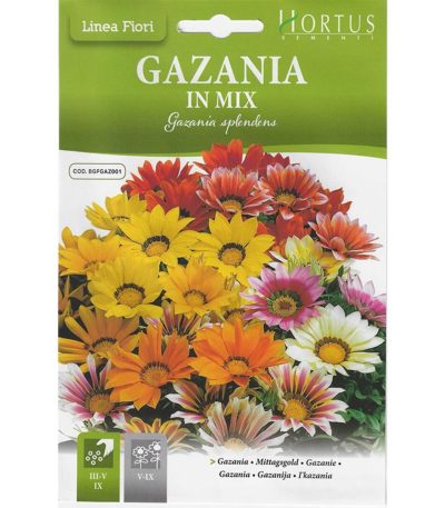 ყვავილები თესლი Gazania in Mix
