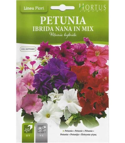 ყვავილები თესლი Petunia Ibrida Nana in Mix