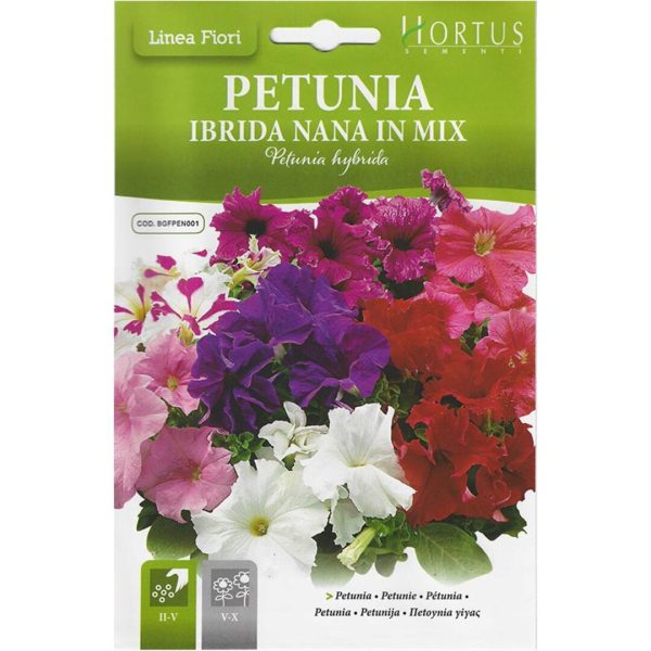 ყვავილები თესლი Petunia Ibrida Nana in Mix
