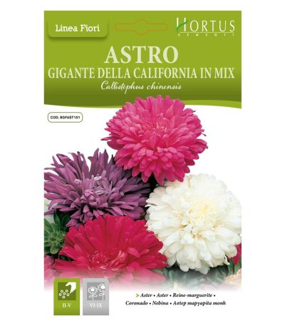 ყვავილები თესლი Astro Gigante della California in Mix