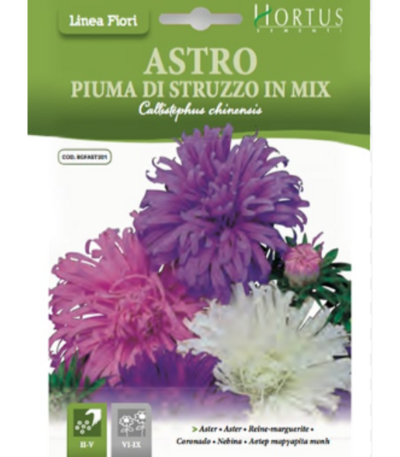 ყვავილები თესლი Astro Piuma di Struzzo in Mix