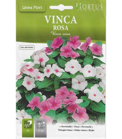 ყვავილები თესლი Vinca Rosa