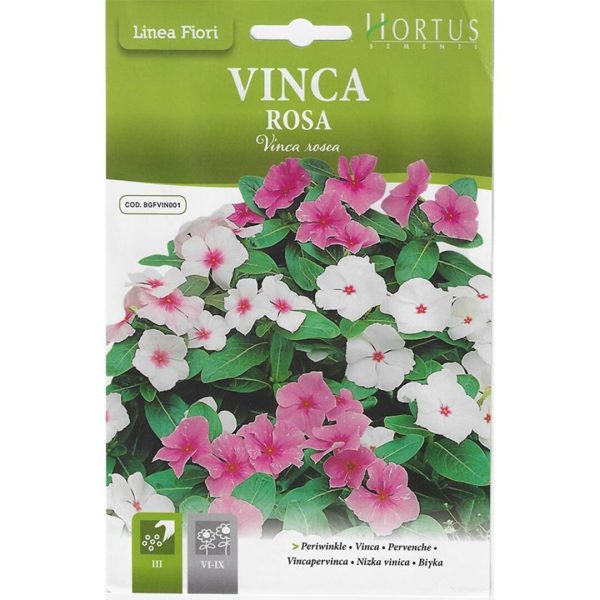 ყვავილები თესლი Vinca Rosa
