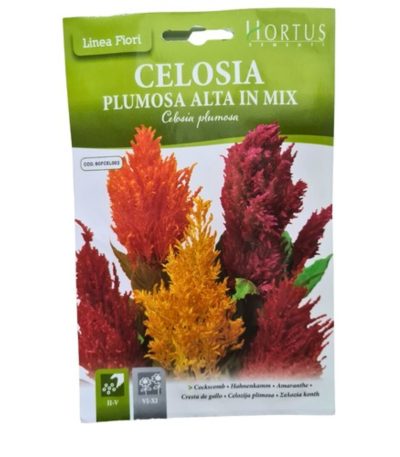 ყვავილები თესლი Celosia Plumosa Alta in Mix