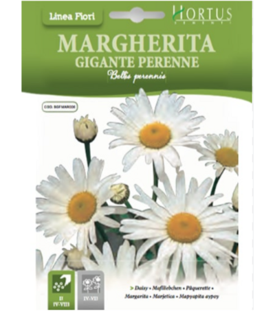 ყვავილები თესლი Margherita Gigante Perenne