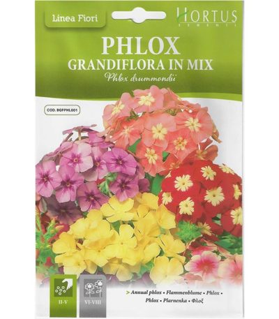 ყვავილები თესლი Phlox Grandflora in Mix