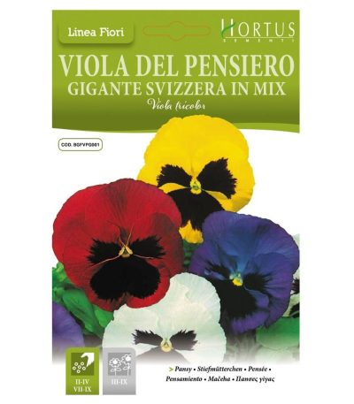 ყვავილები თესლი Viola del Pensiero Gigante Svizzera in Mix