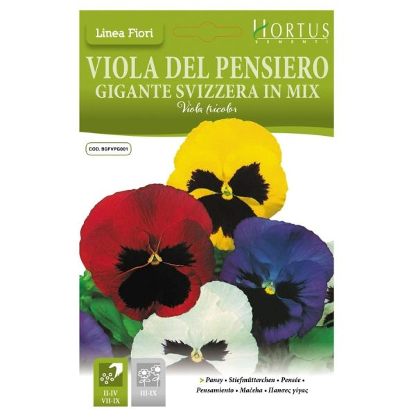 ყვავილები თესლი Viola del Pensiero Gigante Svizzera in Mix