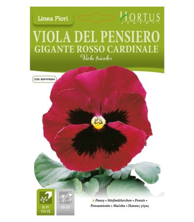 ყვავილები თესლი Viola del Pensiero Gigante Rosso Cardinale