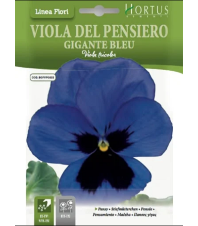 ყვავილები თესლი Viola del Pensiero Gigante Bleu