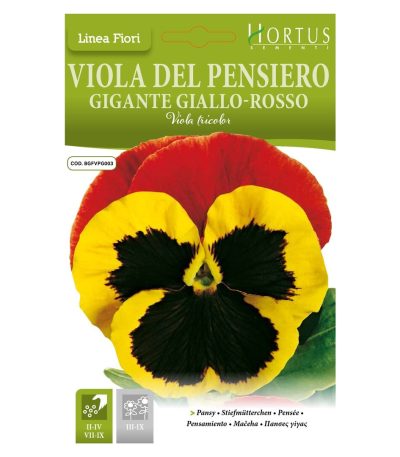 ყვავილები თესლი Viola del Pensiero Gigante Giallo-Rosso
