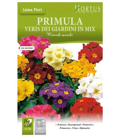 ყვავილები თესლი Primula Veris dei Giardini in Mix