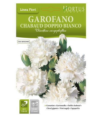 ყვავილები თესლი Garofano Chabaud Doppio Bianco
