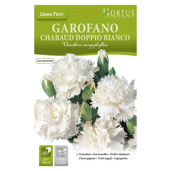 ყვავილები თესლი Garofano Chabaud Doppio Bianco