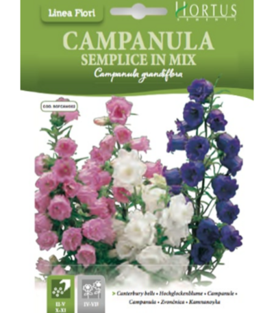 ყვავილები თესლი Campanula Semplice in Mix