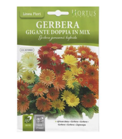 ყვავილები თესლი Gerbera Gigante Doppia in Mix