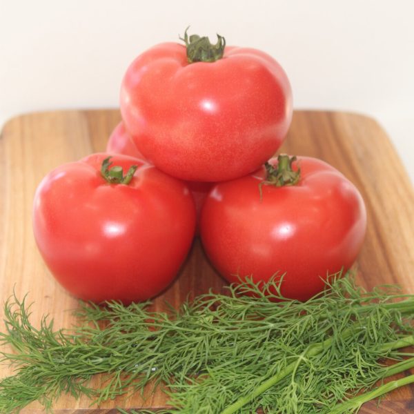 პომიდვრის თესლი PINK UNIVERSE F1