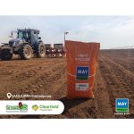 მზესუმზირა თესლი M96CL02