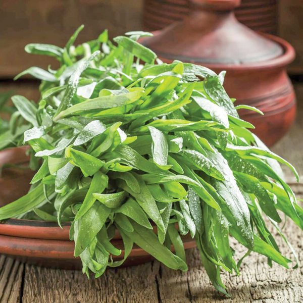 ბარამბო თესლი