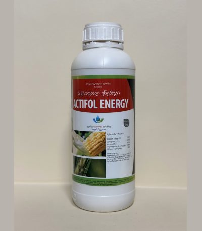 აქტიფოლ ენერჯი (Actifol Energy)