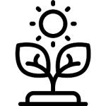 fertilizers