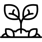 soil substrate