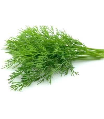 Dill კამა